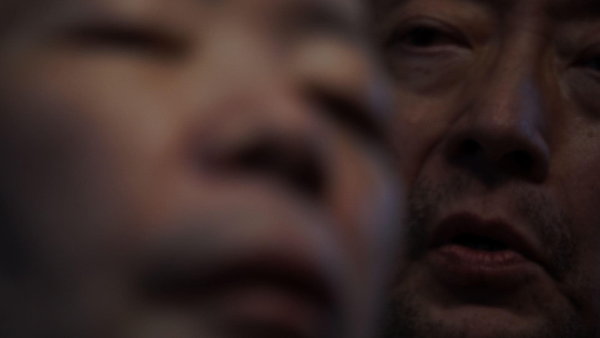 Foto de CANIBA