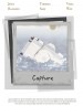 Capture
