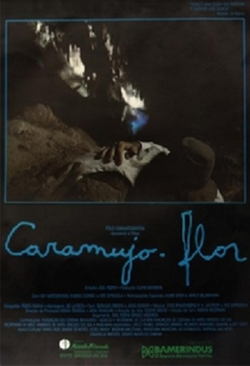 Poster de CARAMUJO-FLOR
