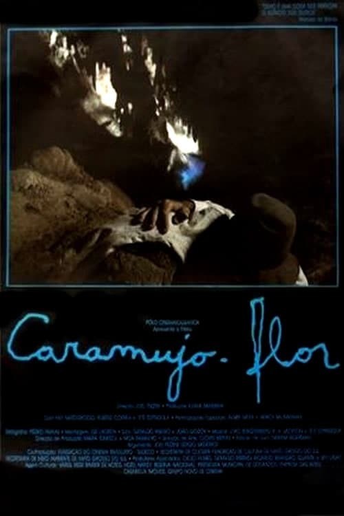Poster de CARAMUJO-FLOR