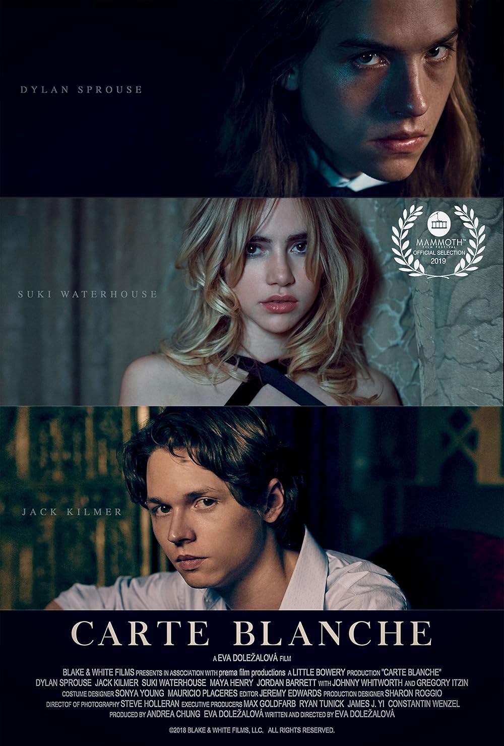 Poster de CARTE BLANCHE
