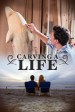 Película Carving A Life