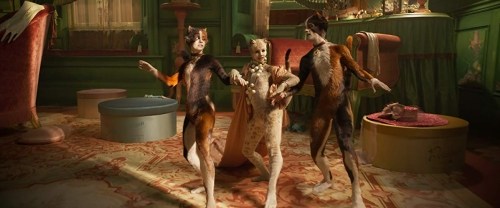 Foto de CATS