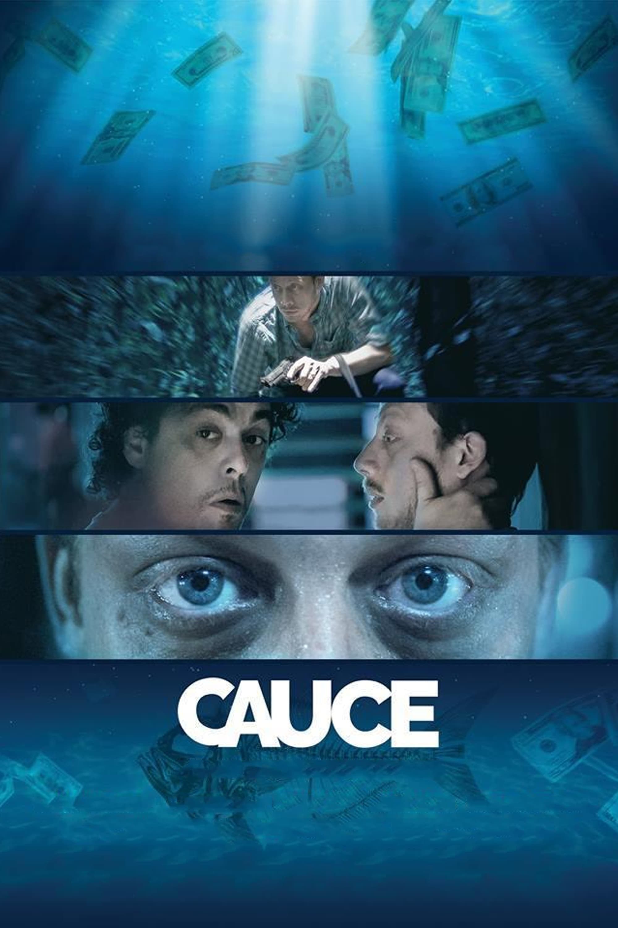 Poster de CAUCE en español