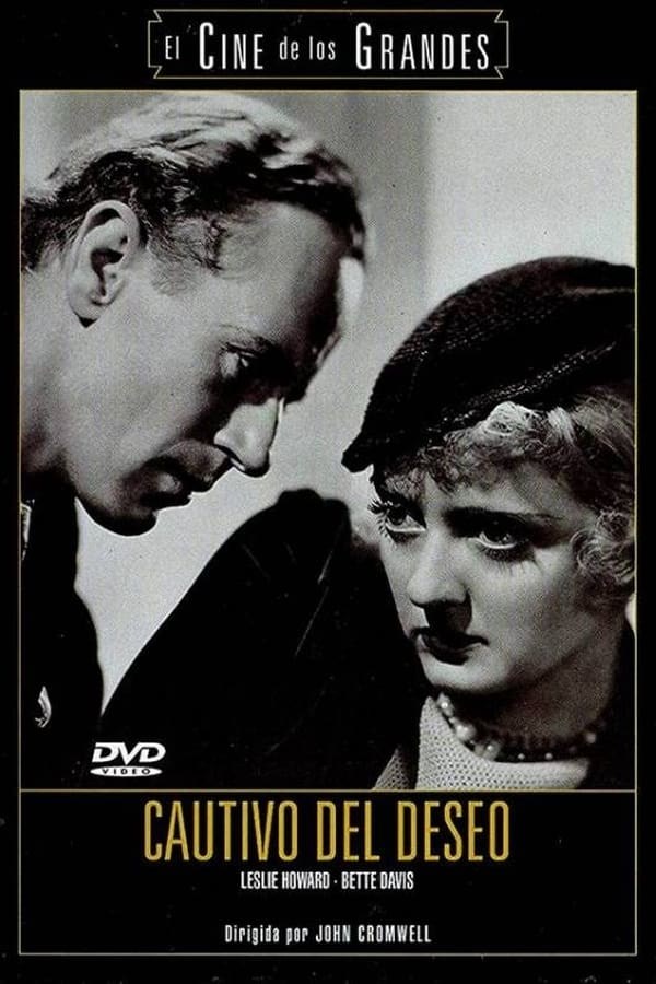 Poster de CAUTIVO DEL DESEO en español