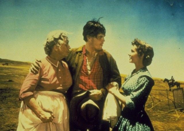 Foto de CENTAUROS DEL DESIERTO