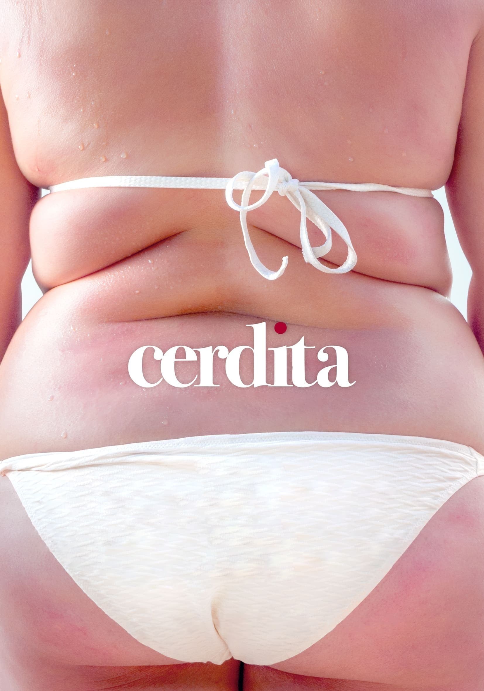 Poster de CERDITA en español