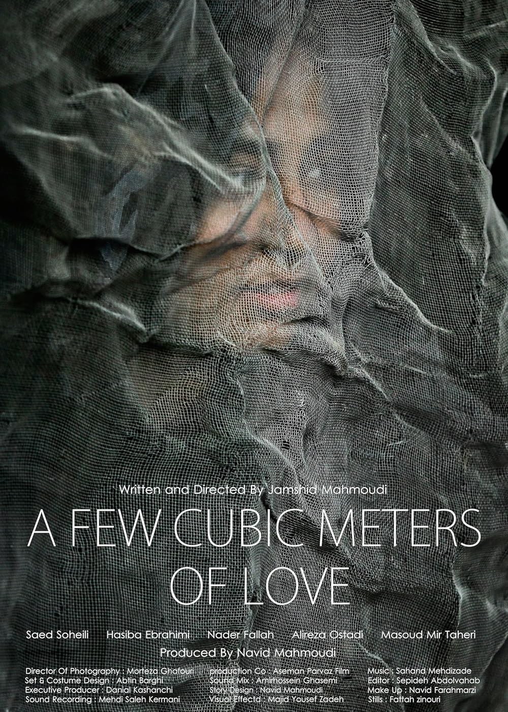 Poster de A FEW CUBIC METERS OF LOVE