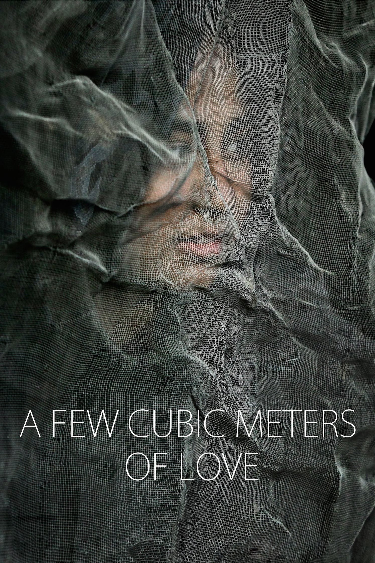 Poster de A FEW CUBIC METERS OF LOVE en inglés