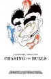 Chasing the Bulls