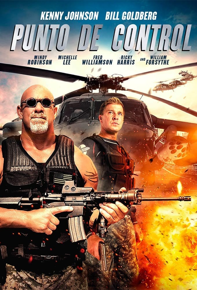 Poster de CHECK POINT en español