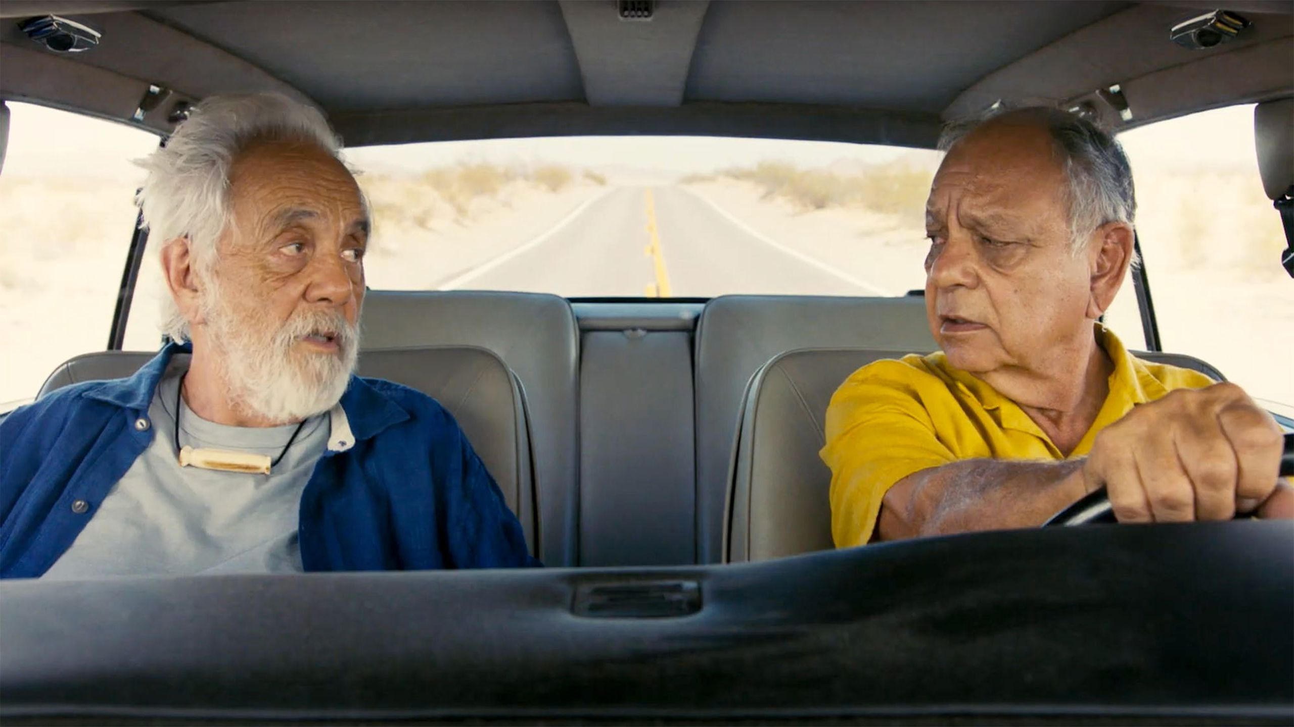 Foto de CHEECH AND CHONG'S LAST MOVIE