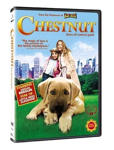 Poster de CHESTNUT, EL HÉROE DE CENTRAL PARK