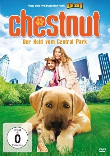 Poster de CHESTNUT, EL HÉROE DE CENTRAL PARK
