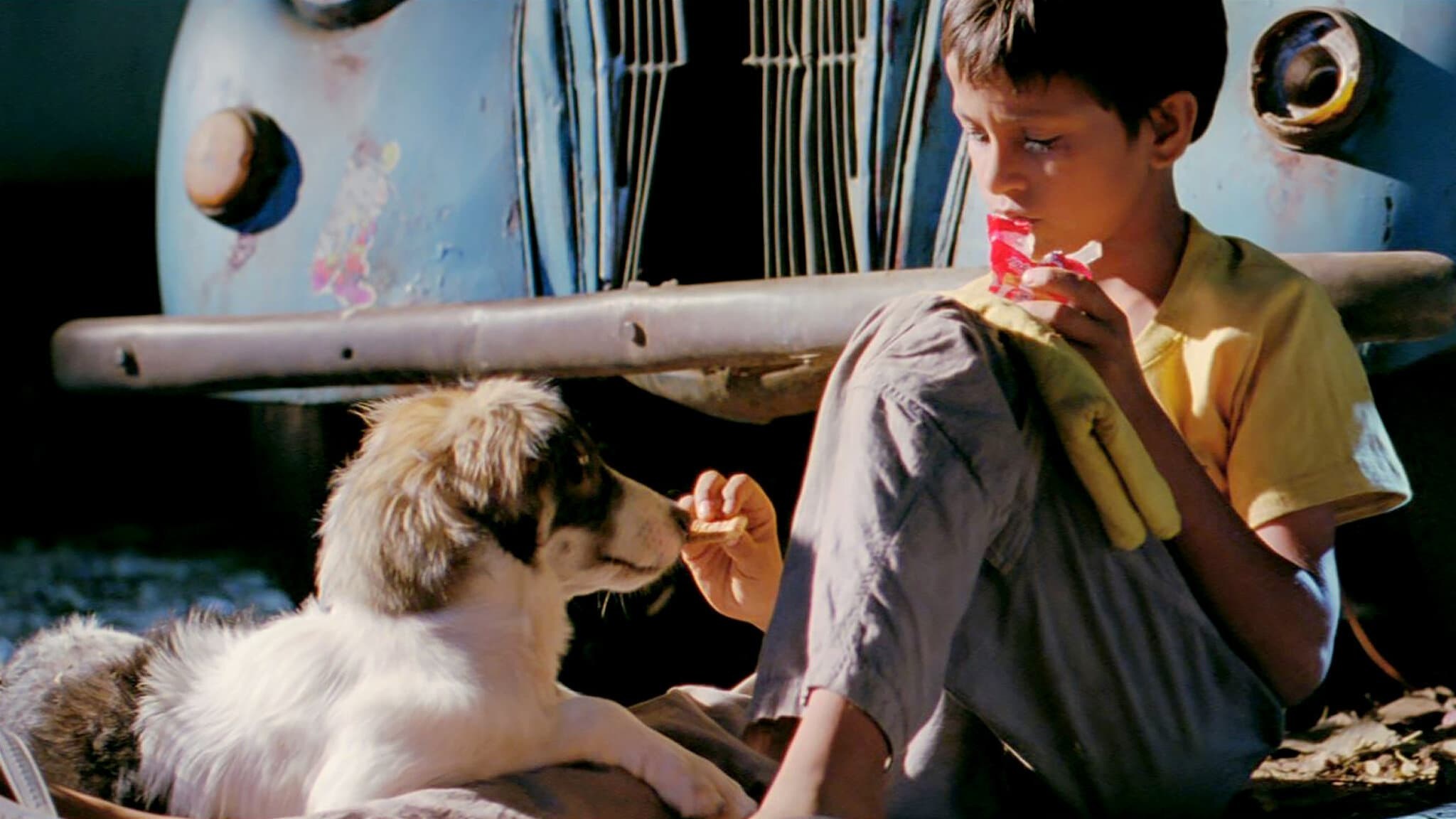 Foto de CHILLAR PARTY
