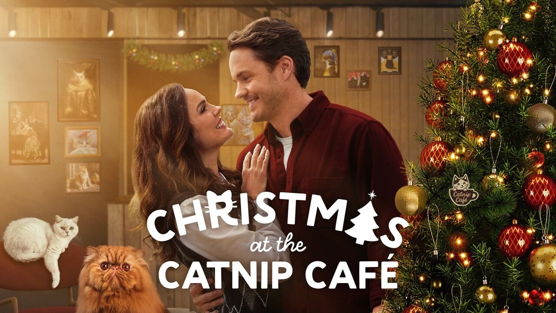 Foto de CHRISTMAS AT THE CATNIP CAFE