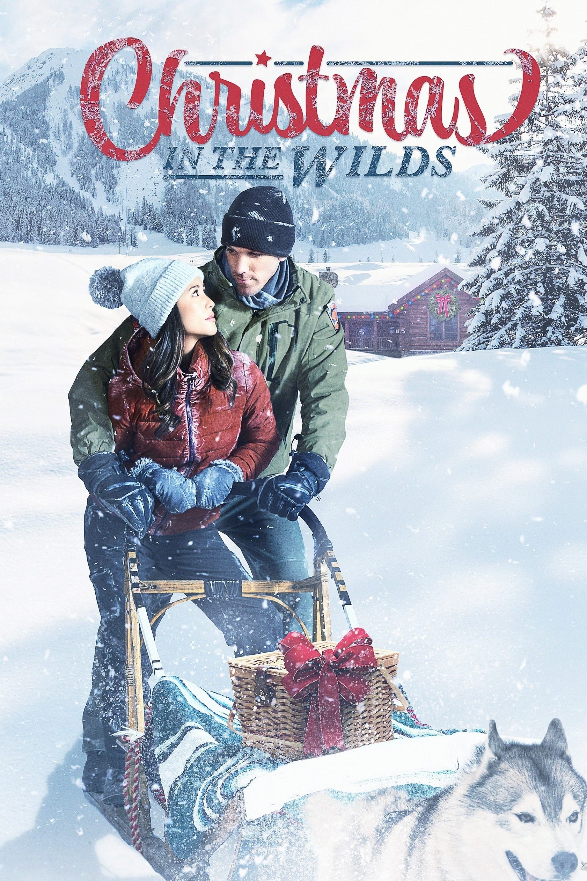 Poster de CHRISTMAS IN THE WILDS en inglés