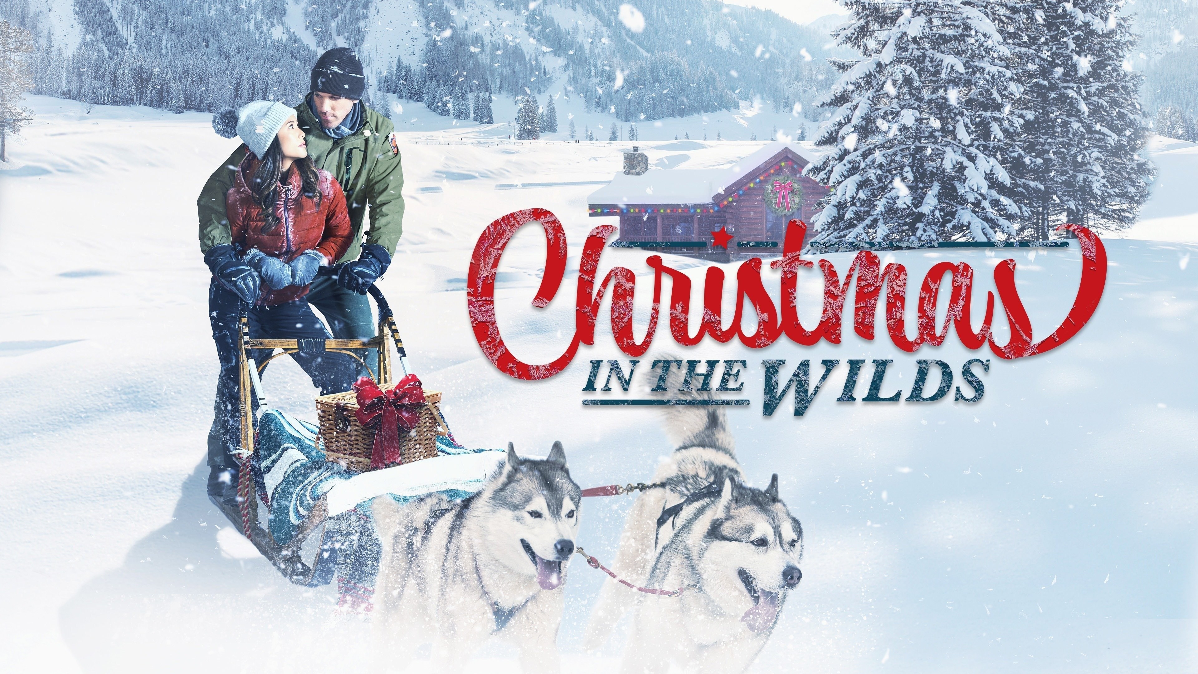Foto de CHRISTMAS IN THE WILDS