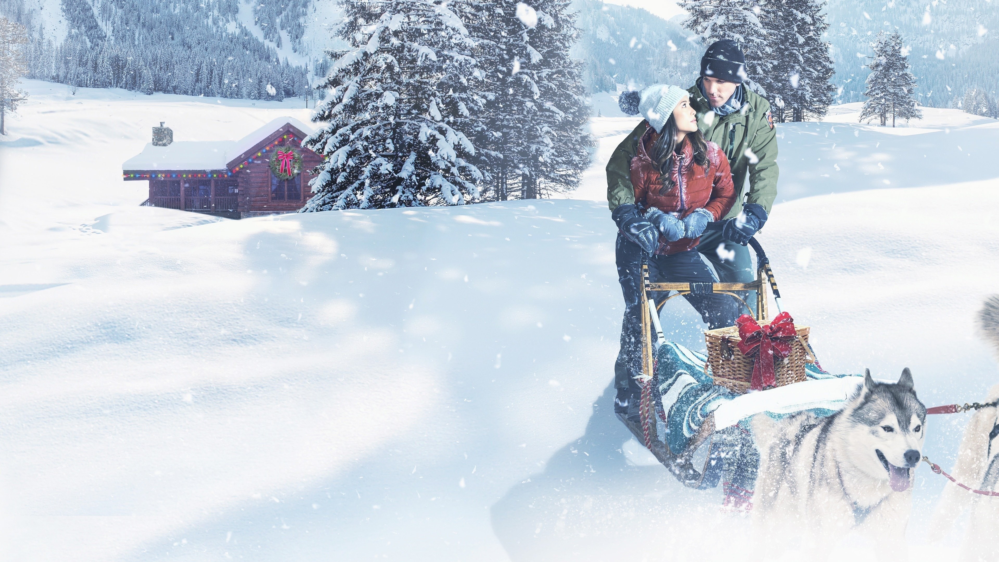 Foto de CHRISTMAS IN THE WILDS