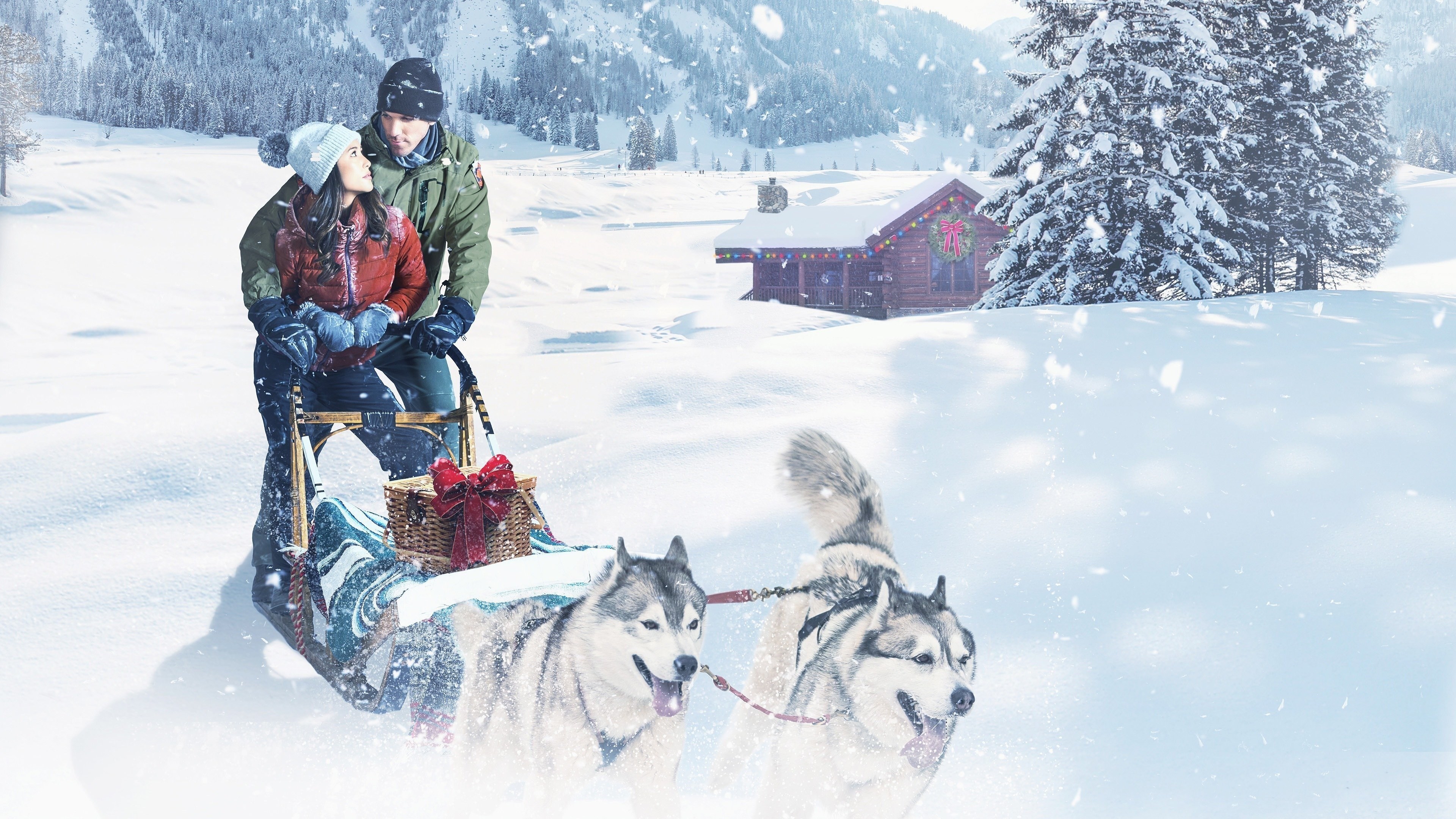 Foto de CHRISTMAS IN THE WILDS