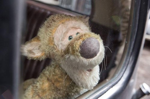Foto de CHRISTOPHER ROBIN