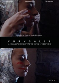 Chrysalis