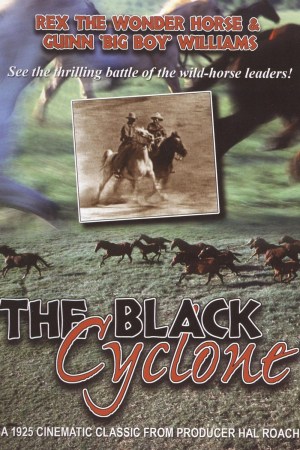 Ciclón negro