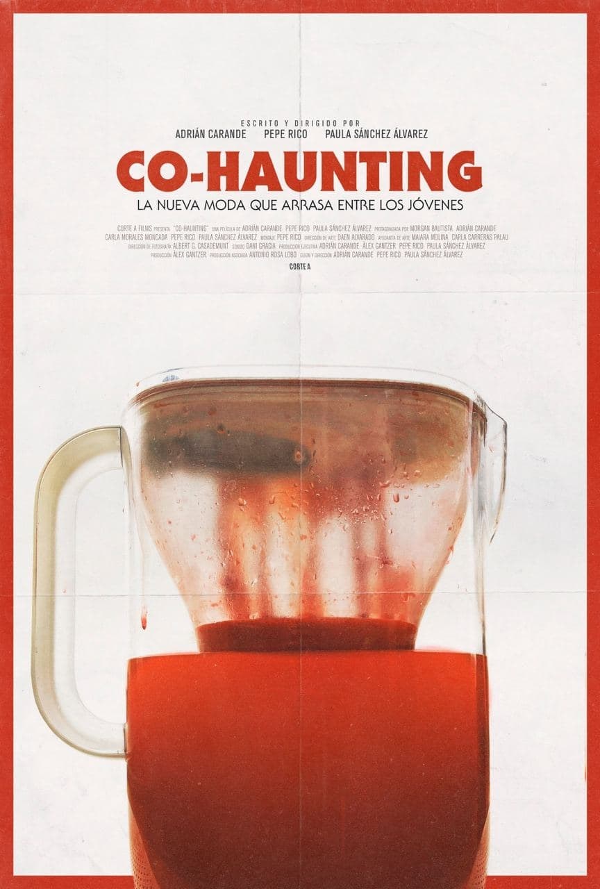 Poster de CO-HAUNTING