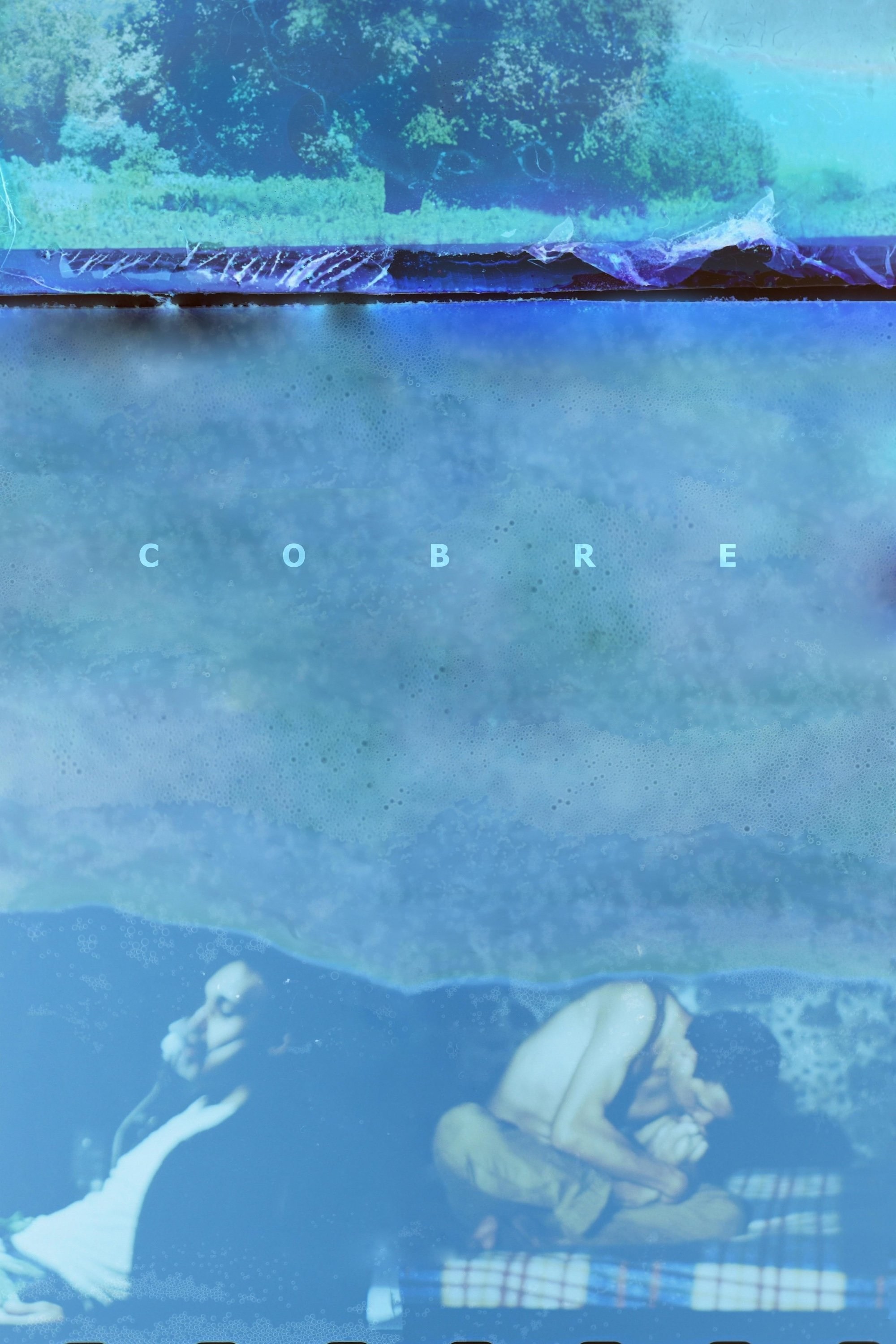 Poster de COBRE en español