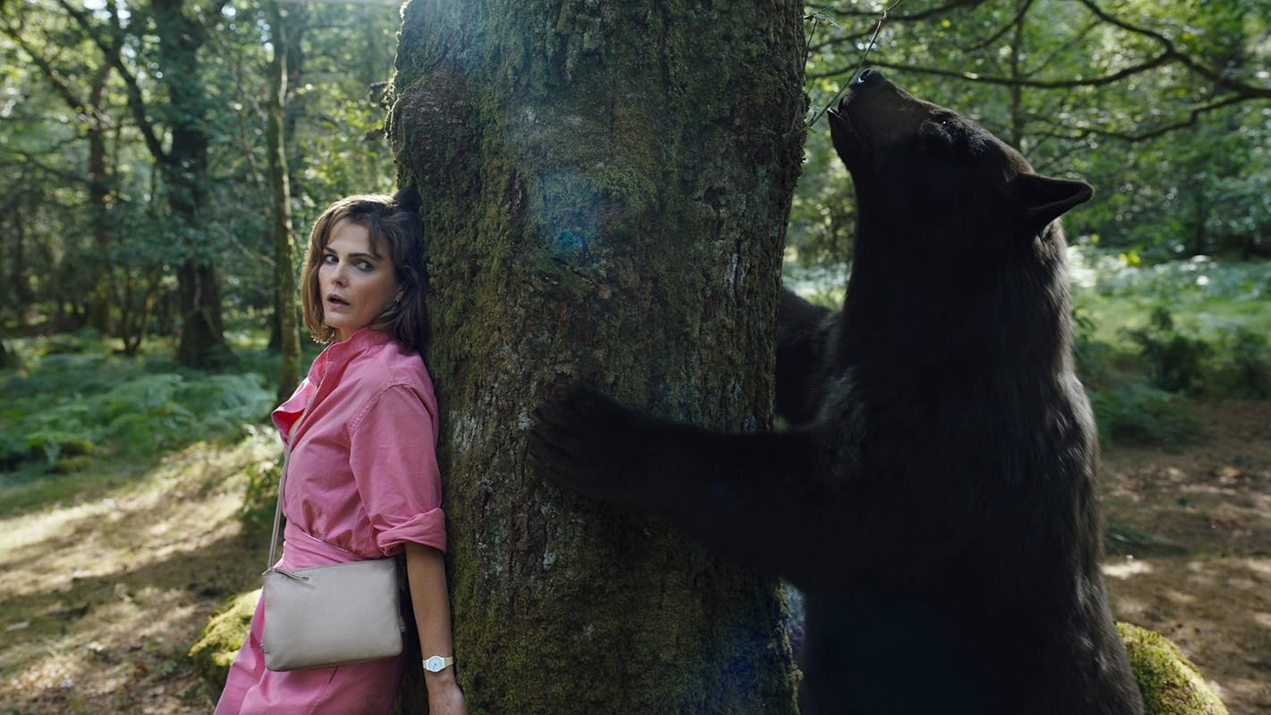 Foto de Oso vicioso