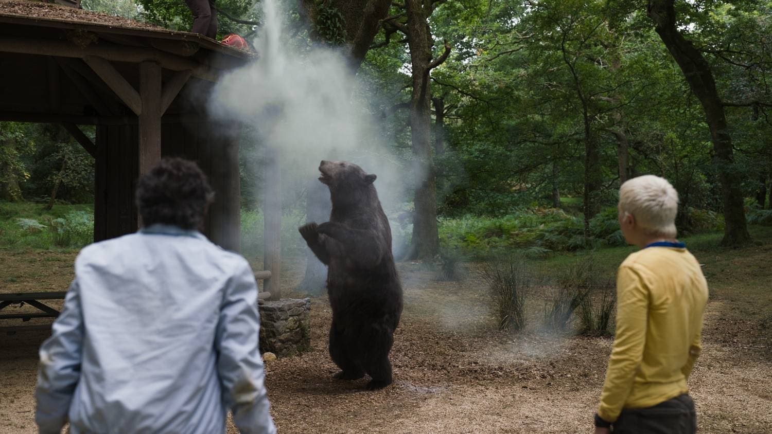 Foto de OSO VICIOSO