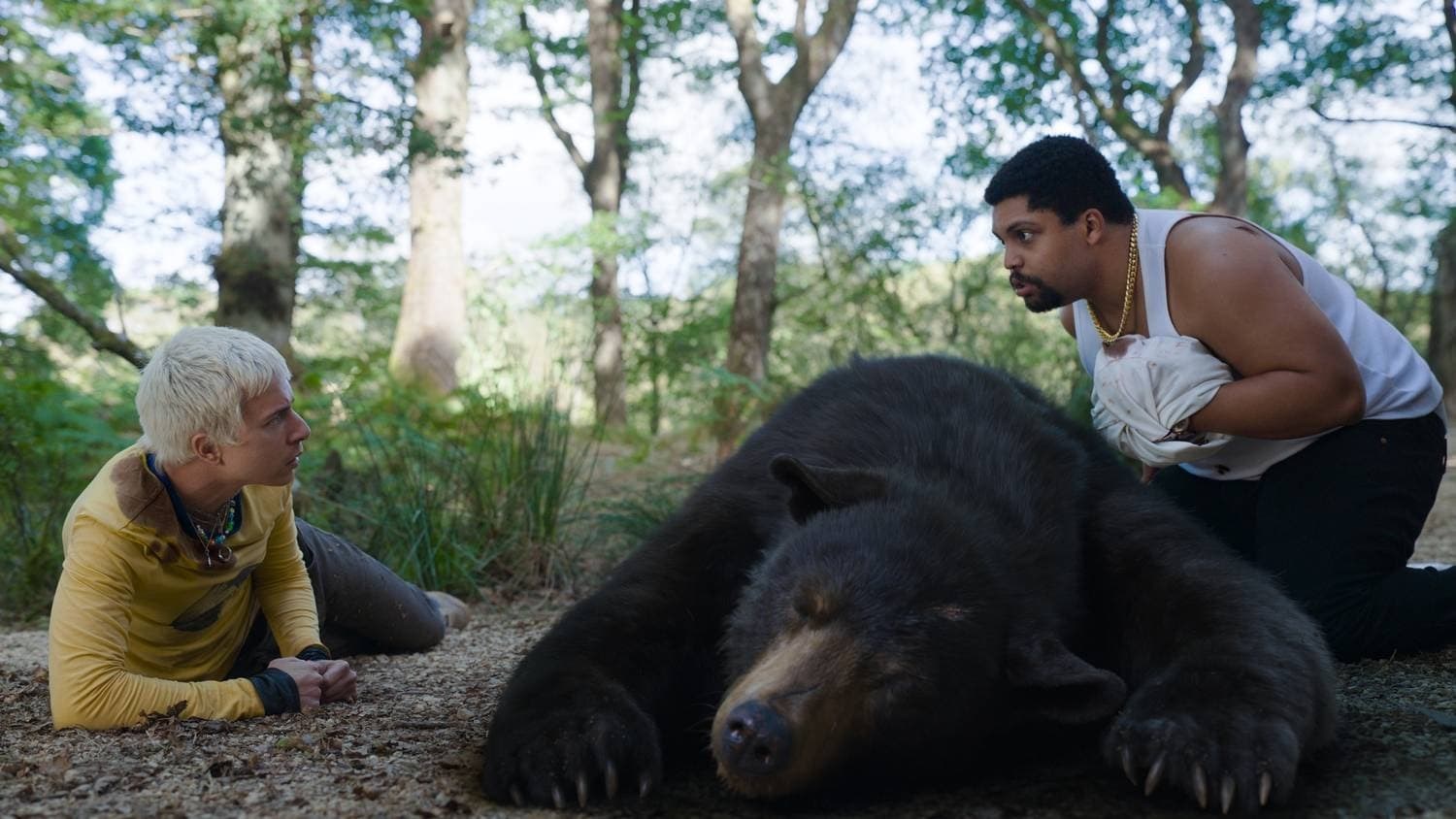 Foto de Oso vicioso