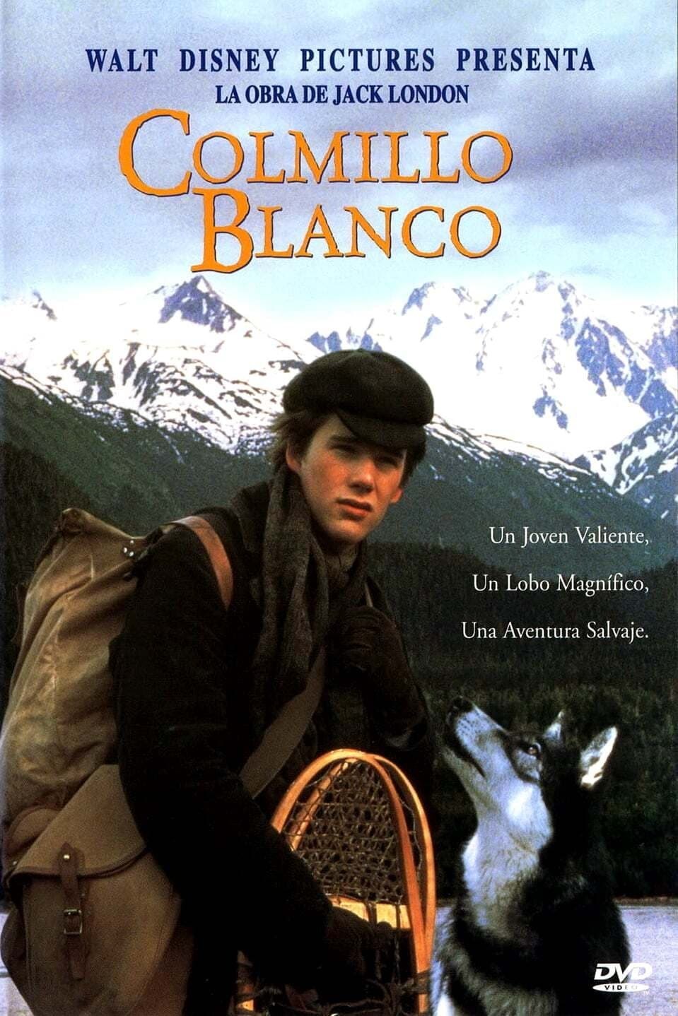 Poster de COLMILLO BLANCO en español