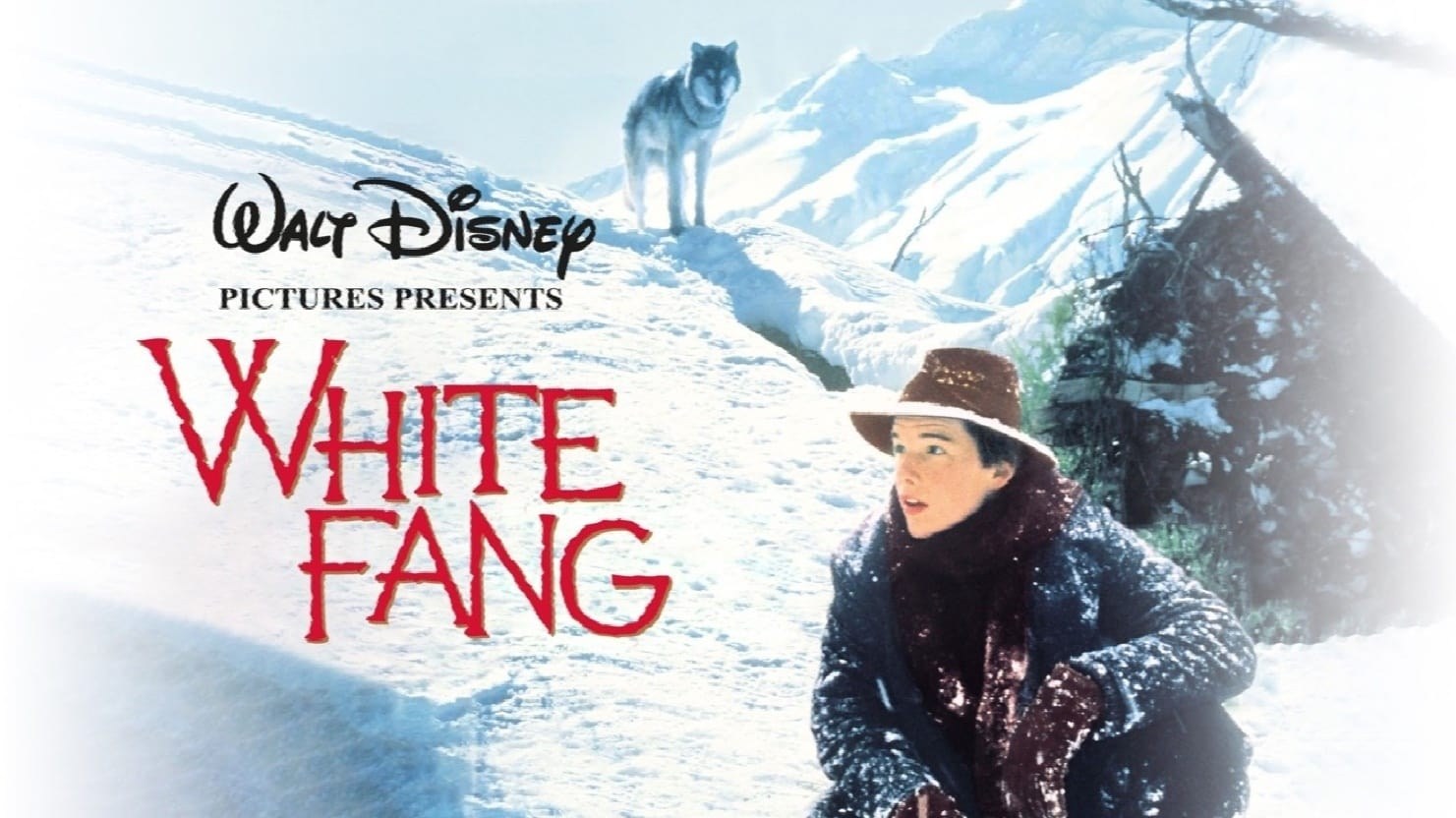 Foto de COLMILLO BLANCO