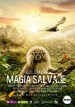 Colombia magia salvaje
