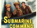 Foto de Submarine Command