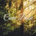 Come Back
