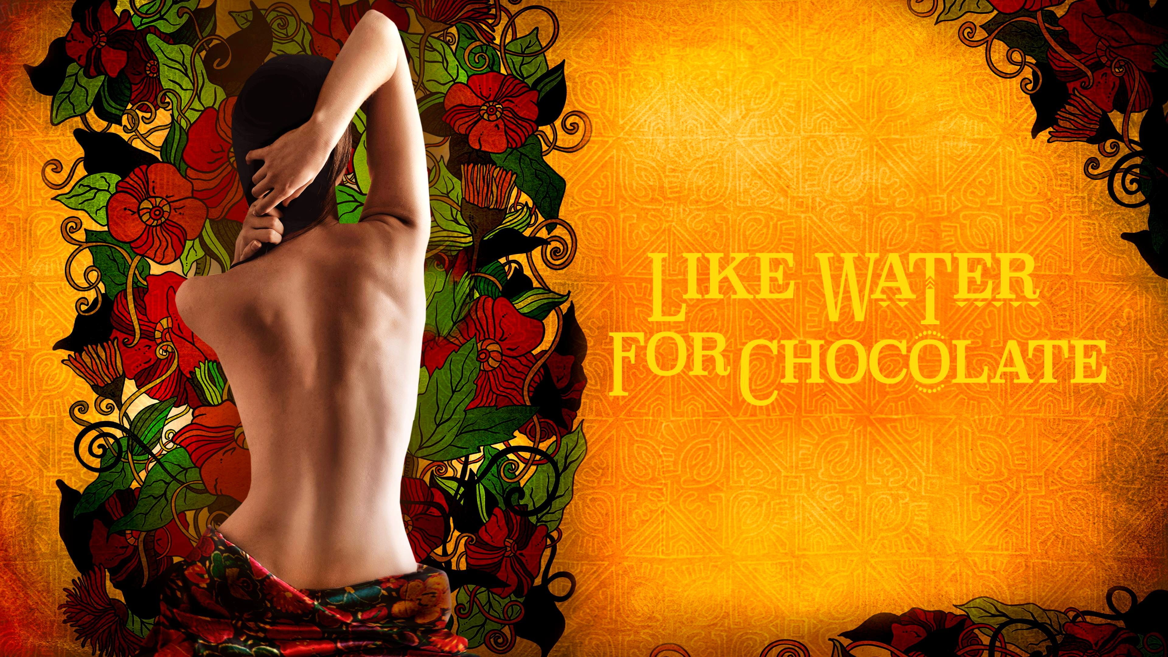 Foto de COMO AGUA PARA CHOCOLATE