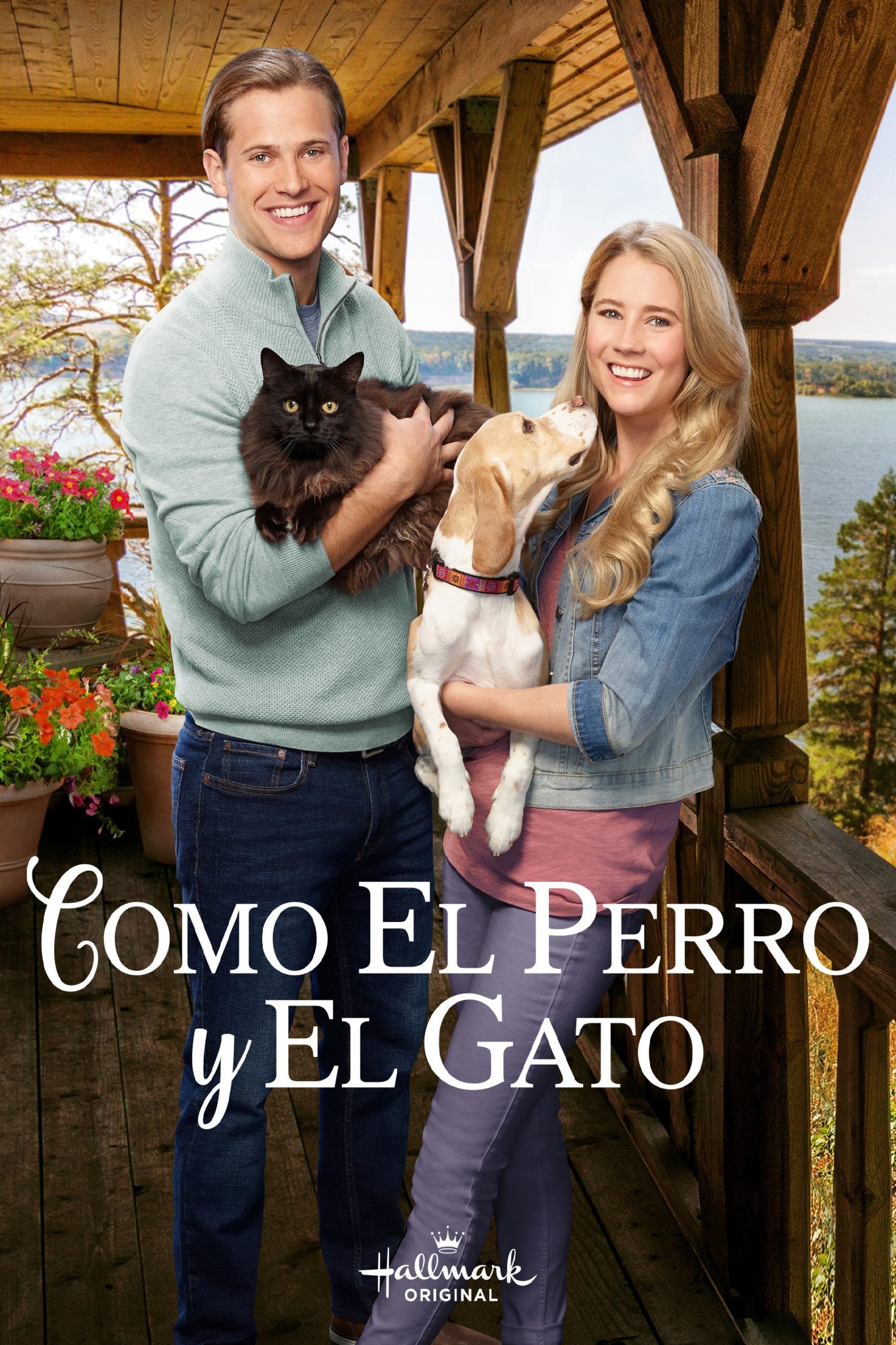Poster de COMO EL PERRO Y EL GATO en español
