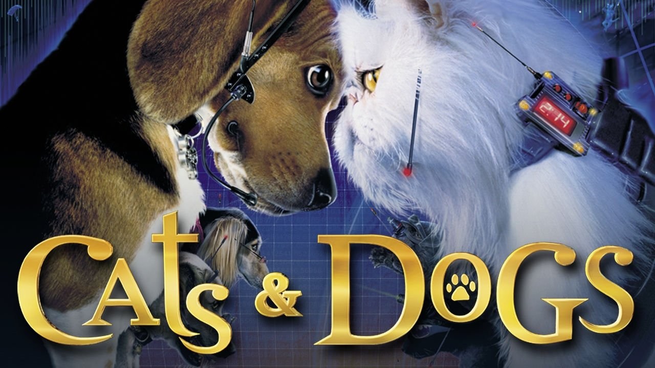 Foto de Como perros y gatos