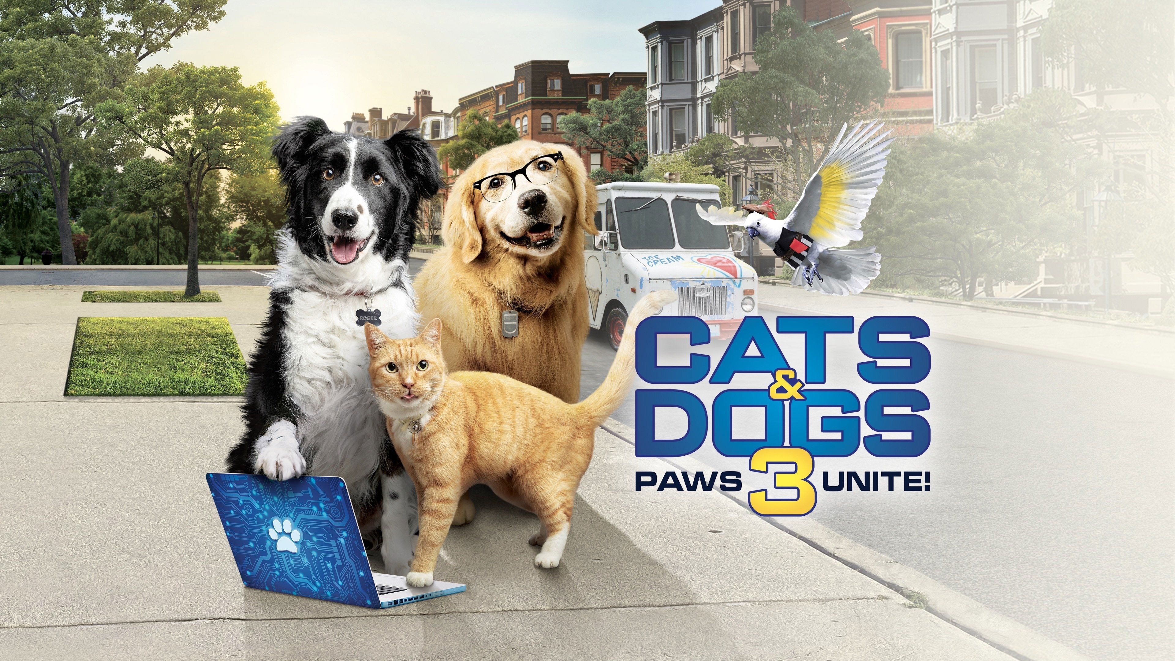 Foto de COMO PERROS Y GATOS 3: ¡TODOS A UNA!