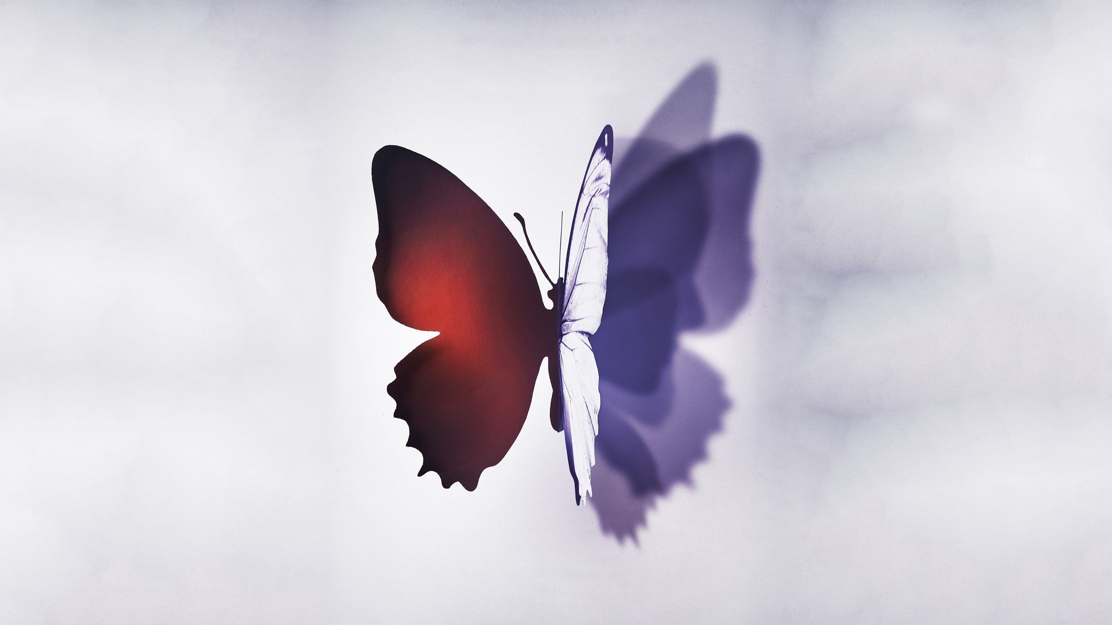 Foto de COMPLETE UNKNOWN