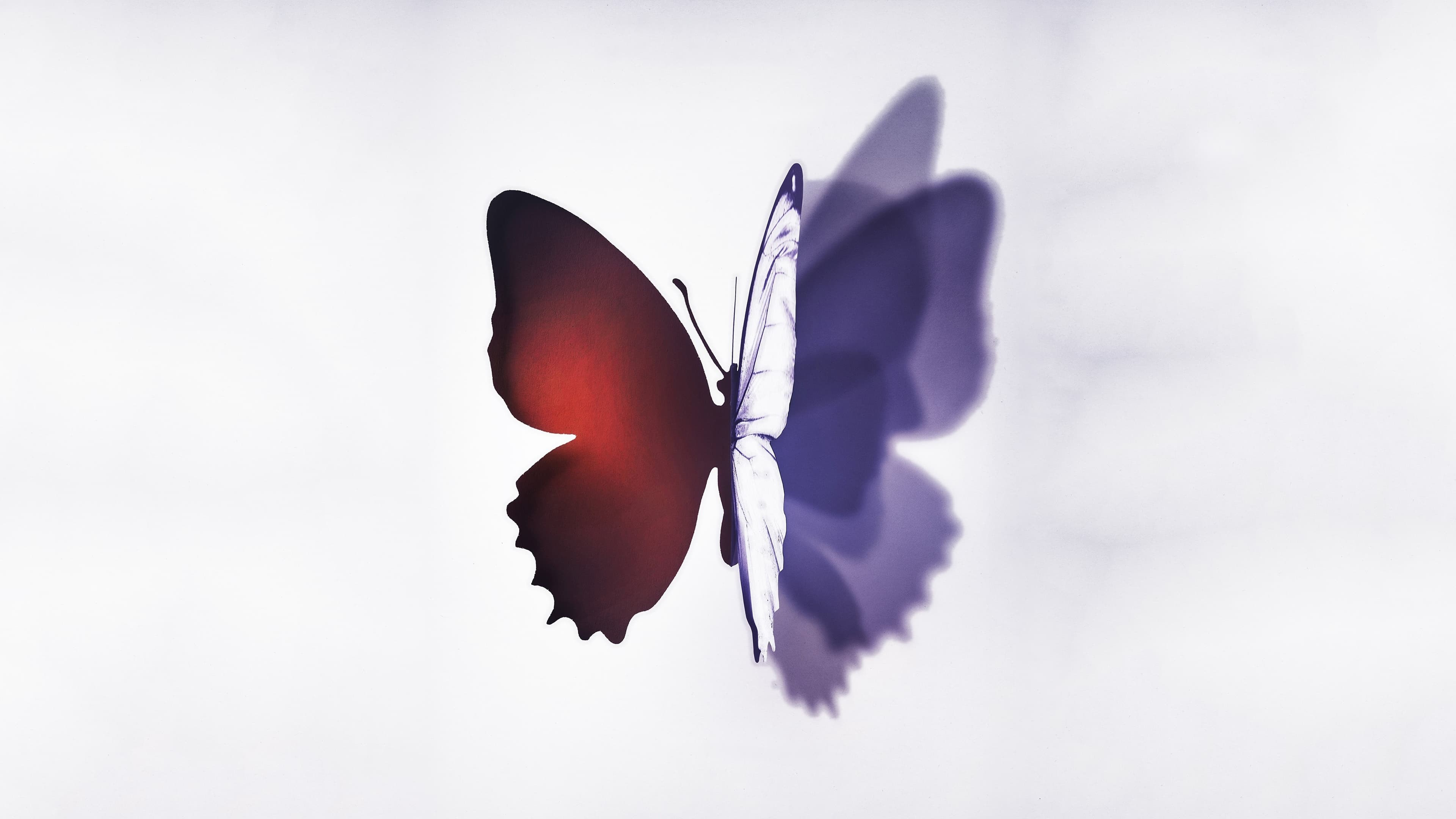 Foto de COMPLETE UNKNOWN