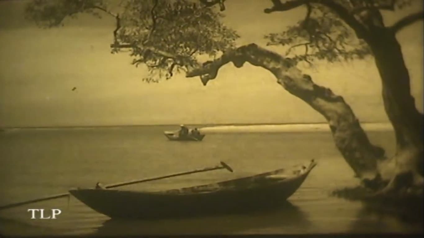 Foto de CON THÚ TẬT NGUYỀN