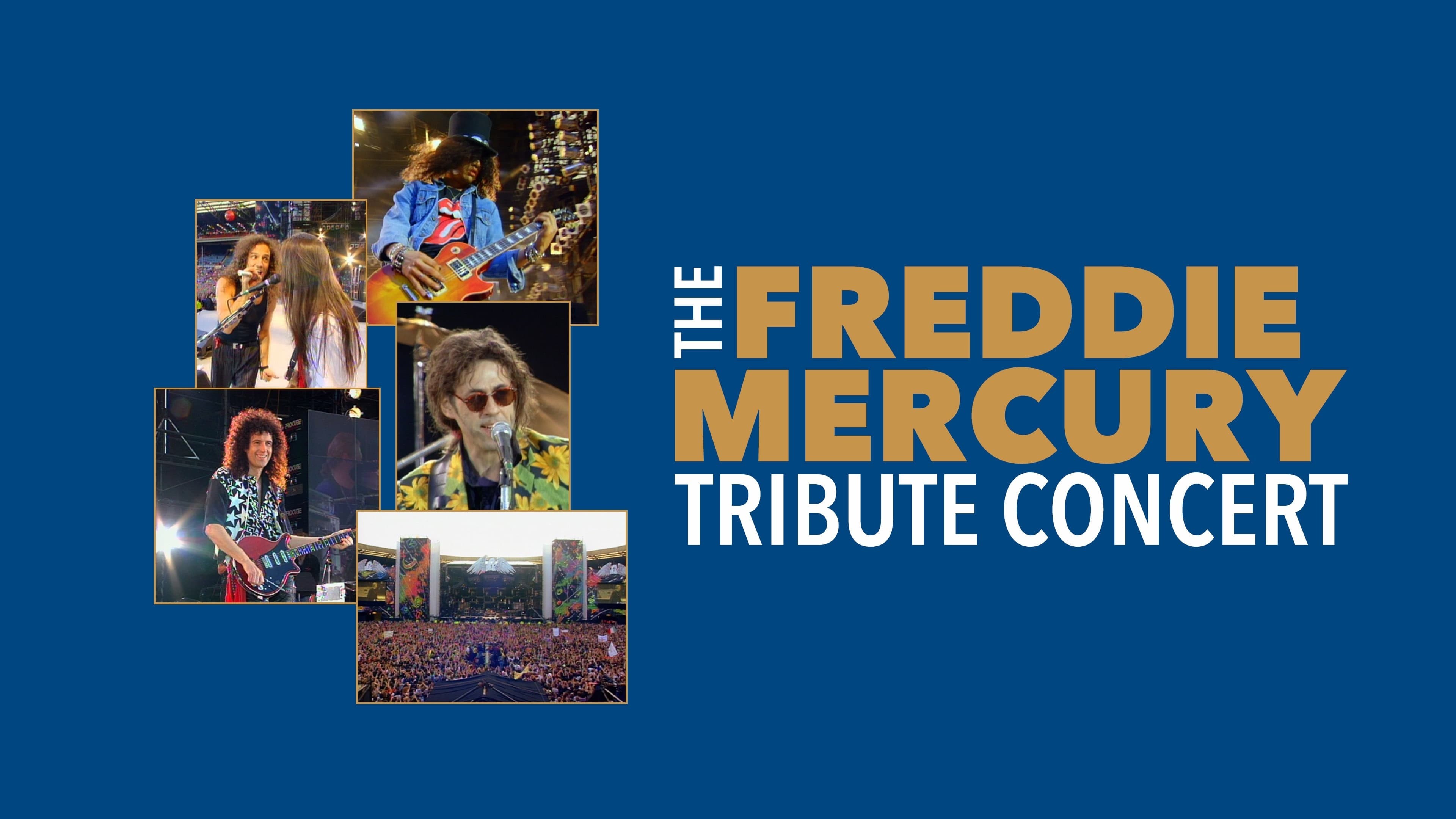 Foto de CONCIERTO POR LA VIDA: HOMENAJE A FREDDIE MERCURY