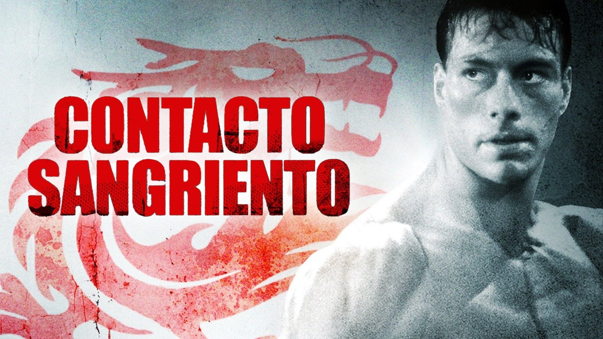 Foto de CONTACTO SANGRIENTO
