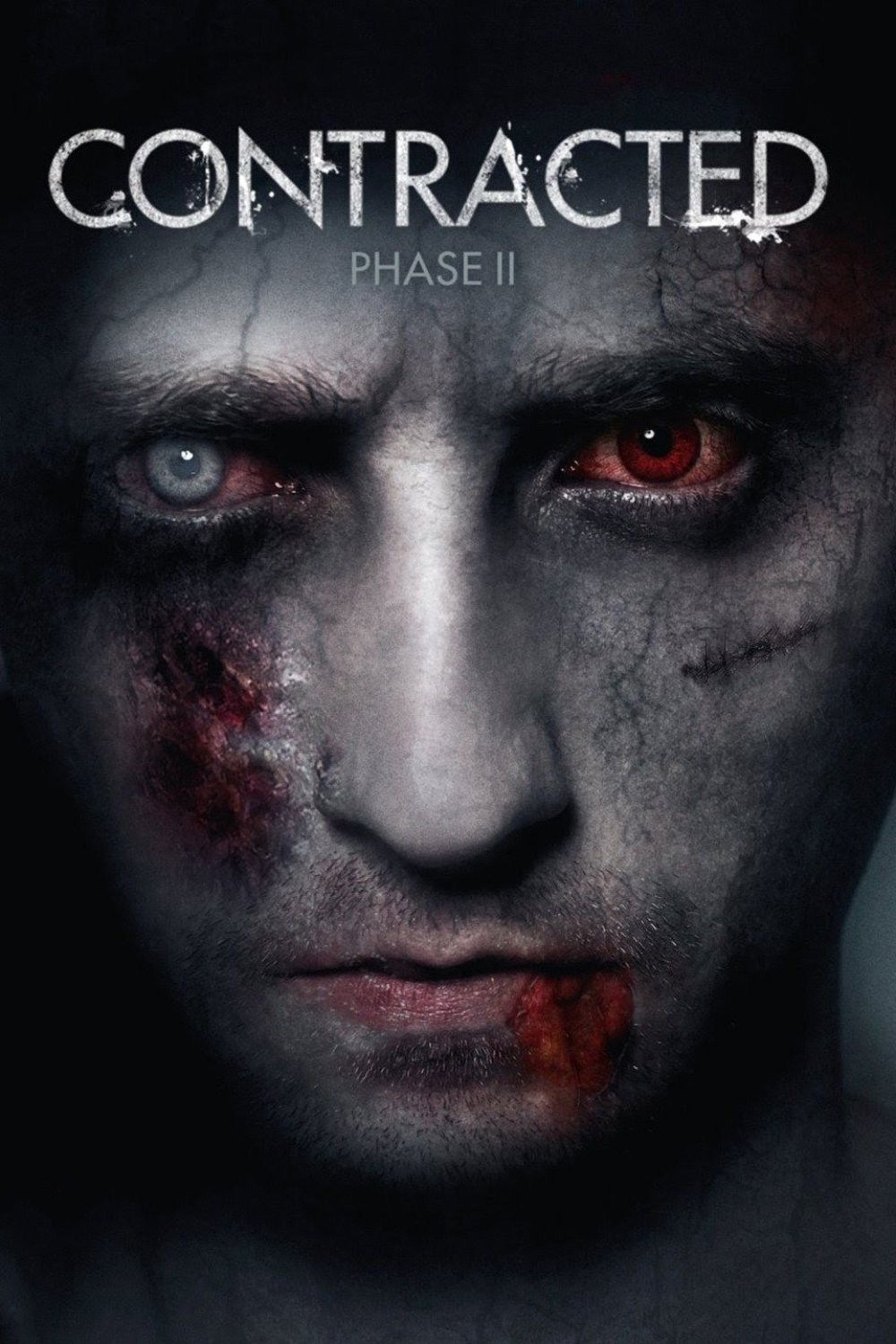Poster de CONTRACTED: PHASE II en inglés