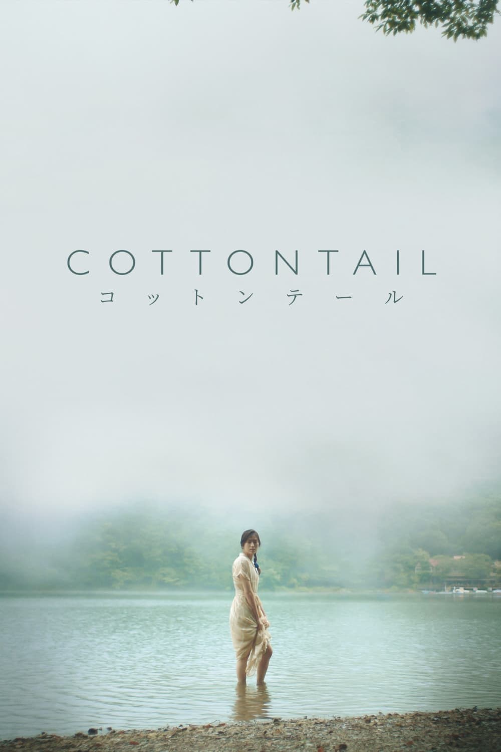 Poster de COTTONTAIL en inglés