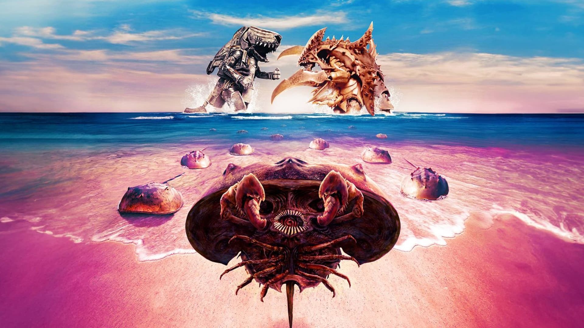 Foto de CRABS!