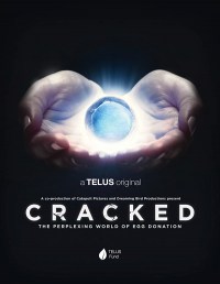 Cracked: The Perplexing World of Egg Donation
